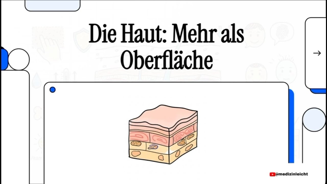 Die Haut: Mehr als Oberfläche | 𝐌𝐞𝐝𝐢𝐳𝐢𝐧 𝐞𝐢𝐧𝐟𝐚𝐜𝐡 𝐞𝐫𝐤𝐥ä𝐫𝐭