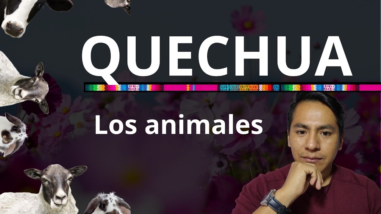 Aprende los animales en QUECHUA//2023