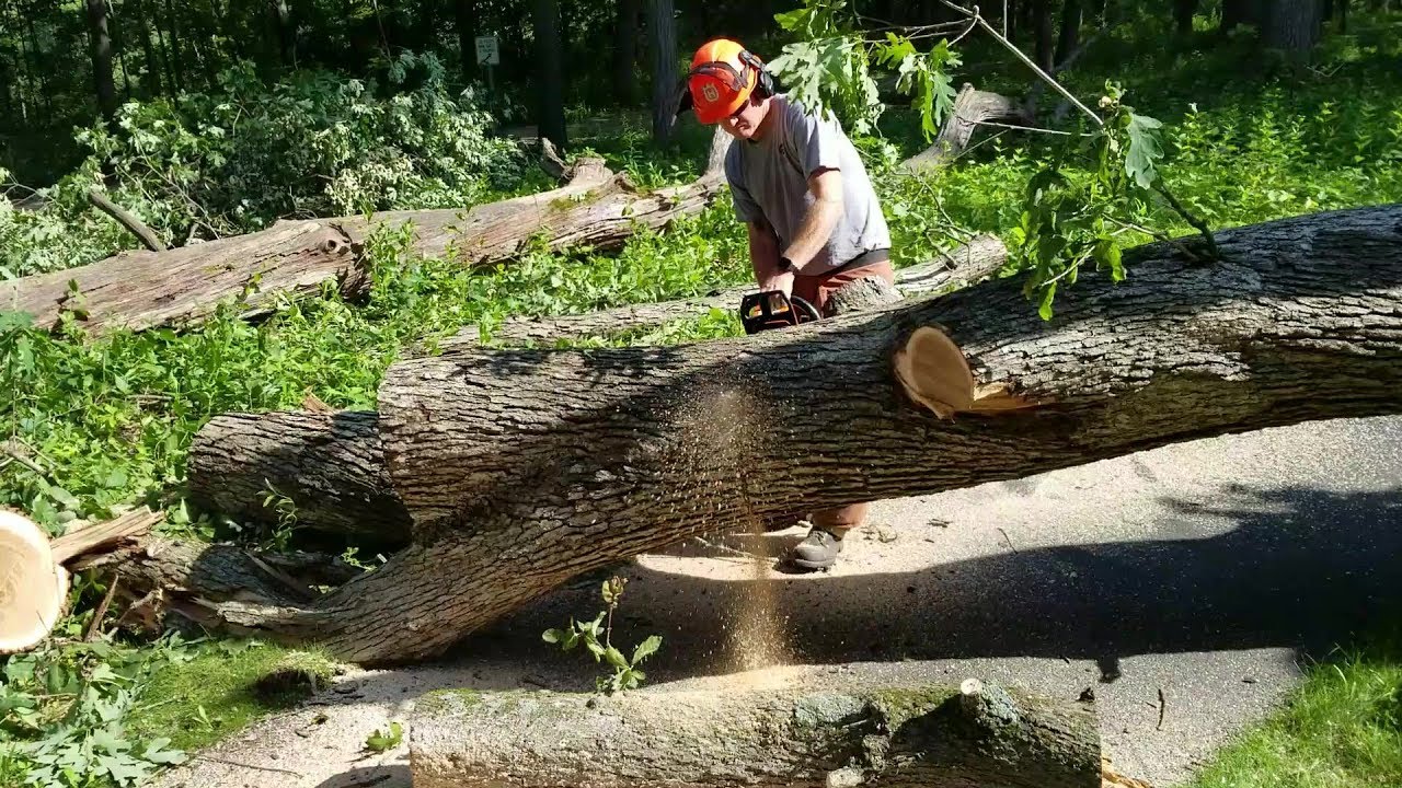Behind the Scenes: Summer Storm Cleanup