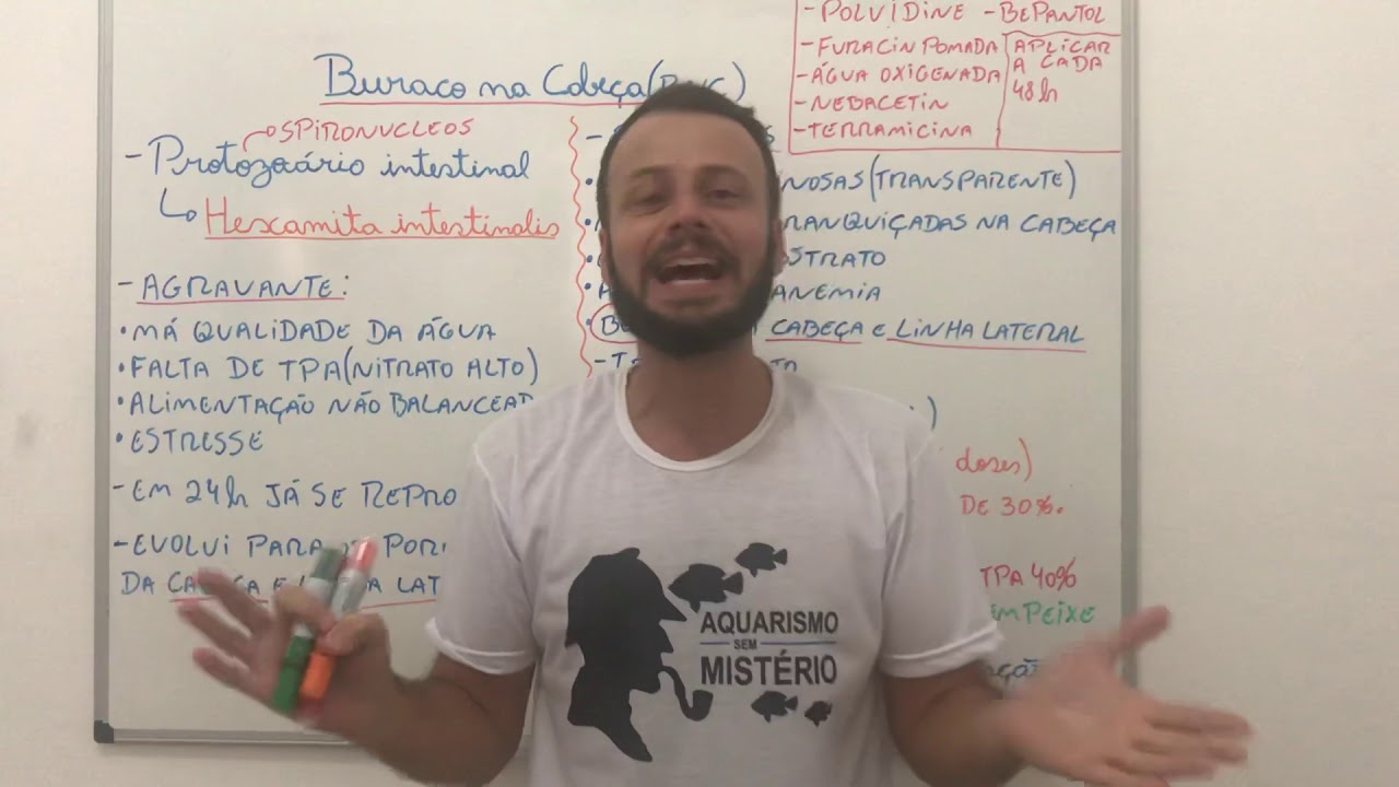 Buraco na cabeça! Como previnir e tratar?🤔🤔