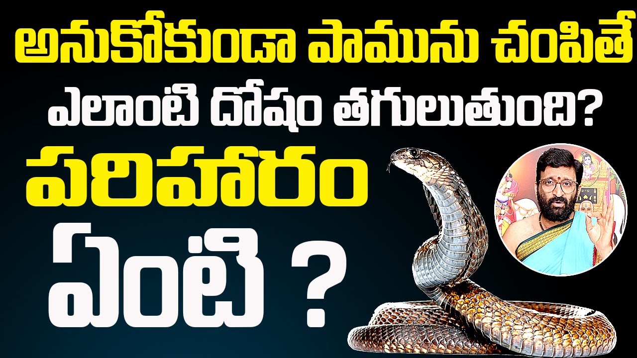 అనుకోకుండా పామును చంపితే ఎలాంటి దోషం తగులుతుంది?పరిహారం ఏంటి ? |#|nagadosham  Astro Syndicate