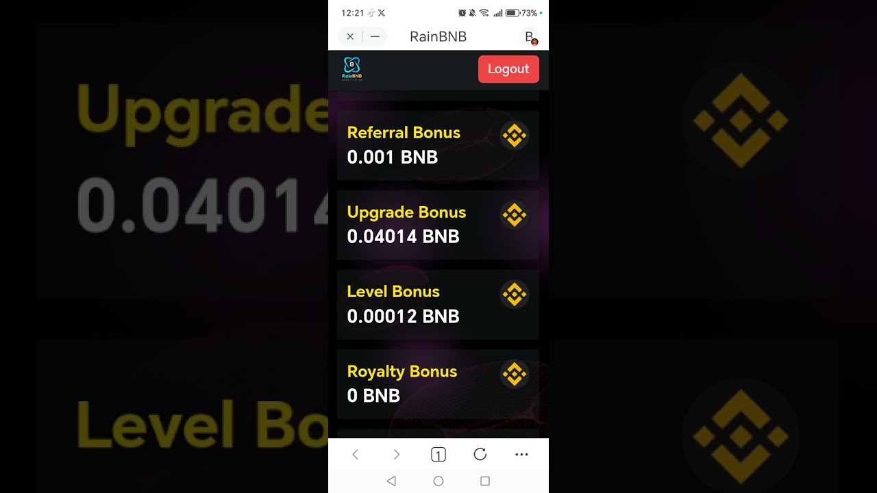 RAIN BNB