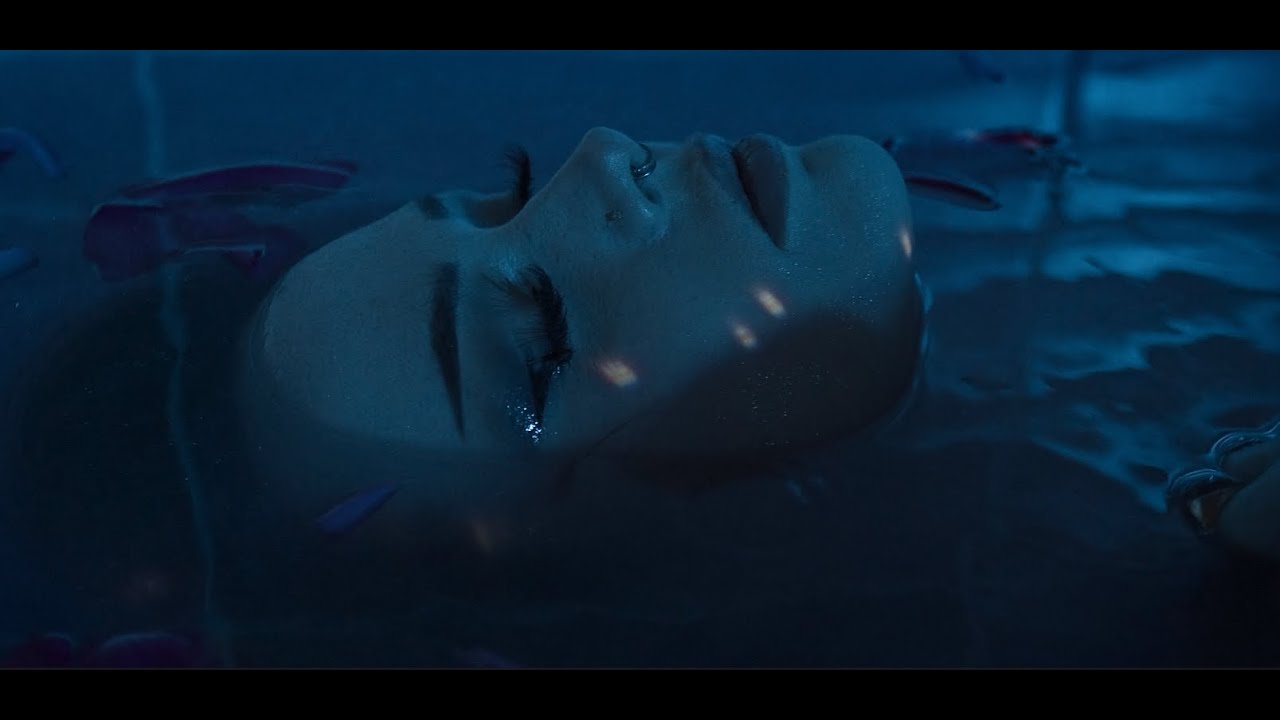Trauma Bonds - We Become Nothing (Official Music Video)