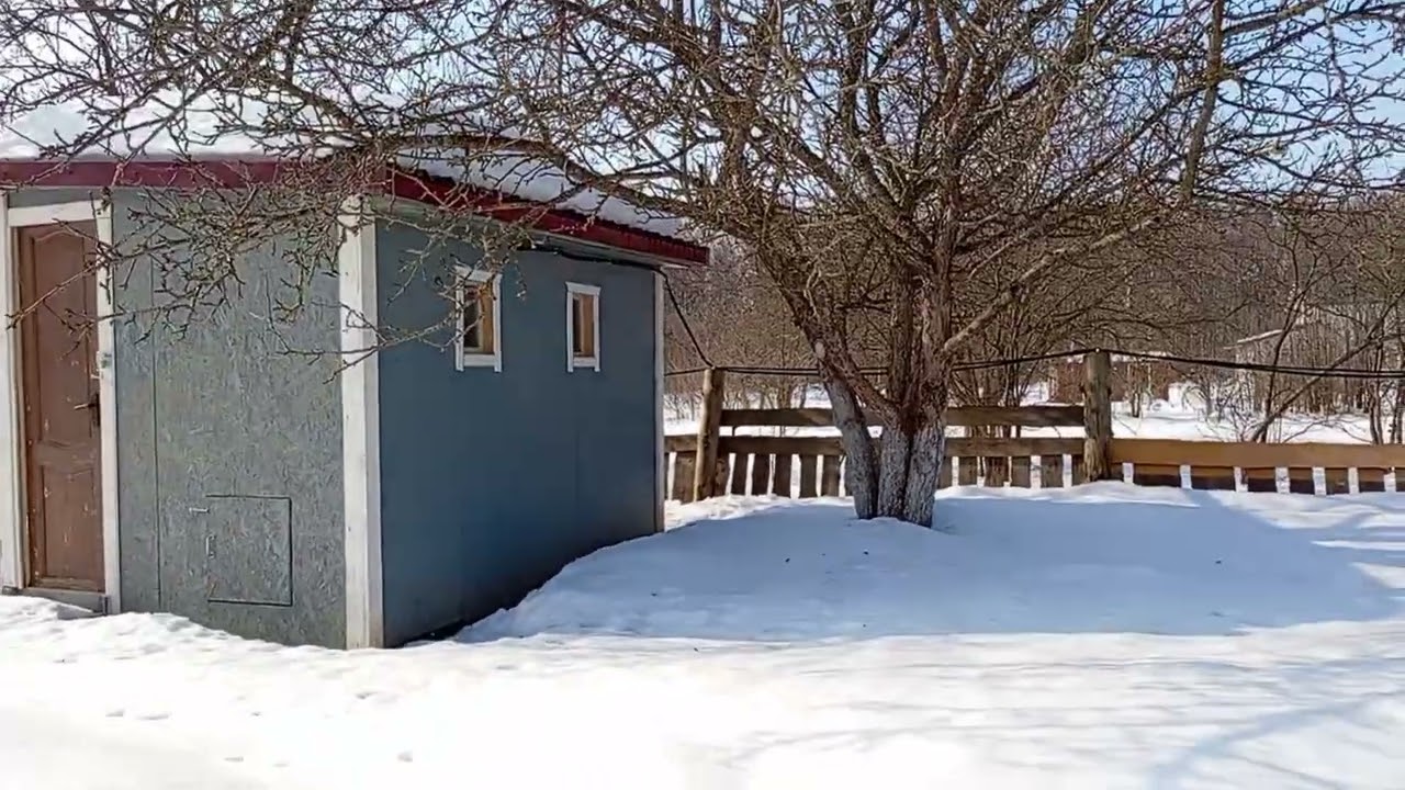 Мы снова на даче. Продаю участок.