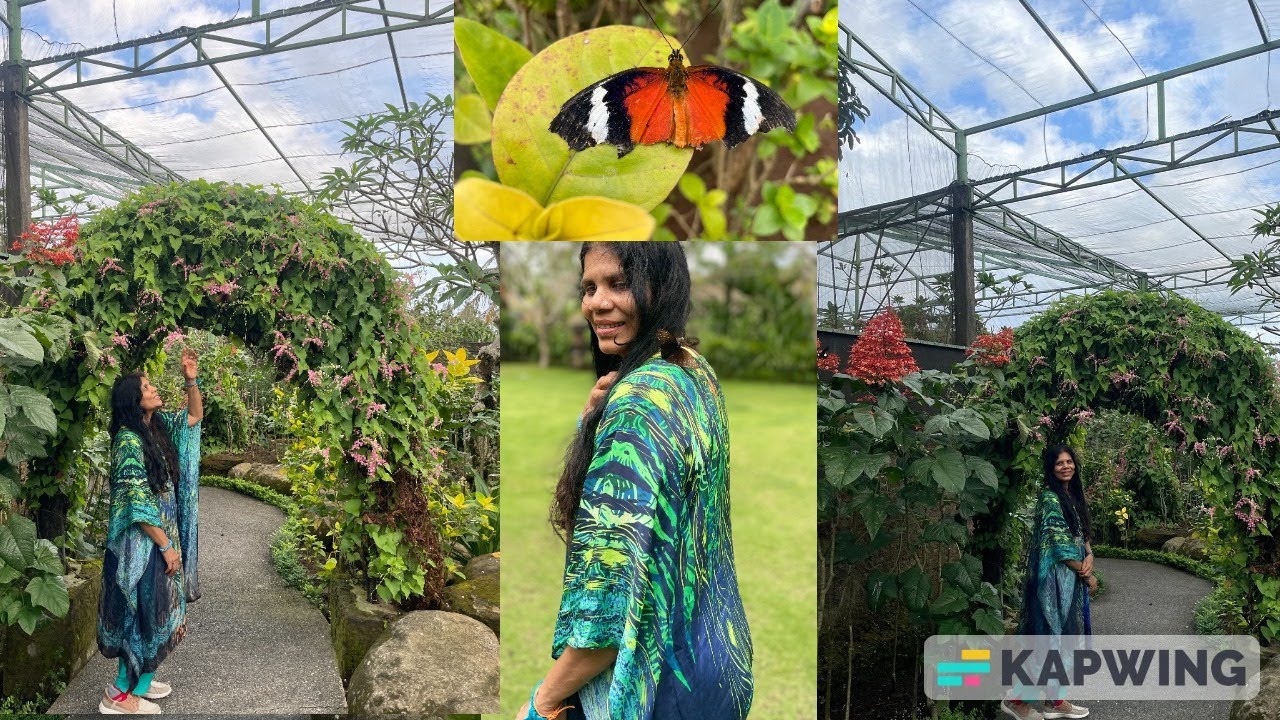 பாலி பயணம் vlog 6 - Bali Kemenuh Butterfly Park beautiful and nature-filled