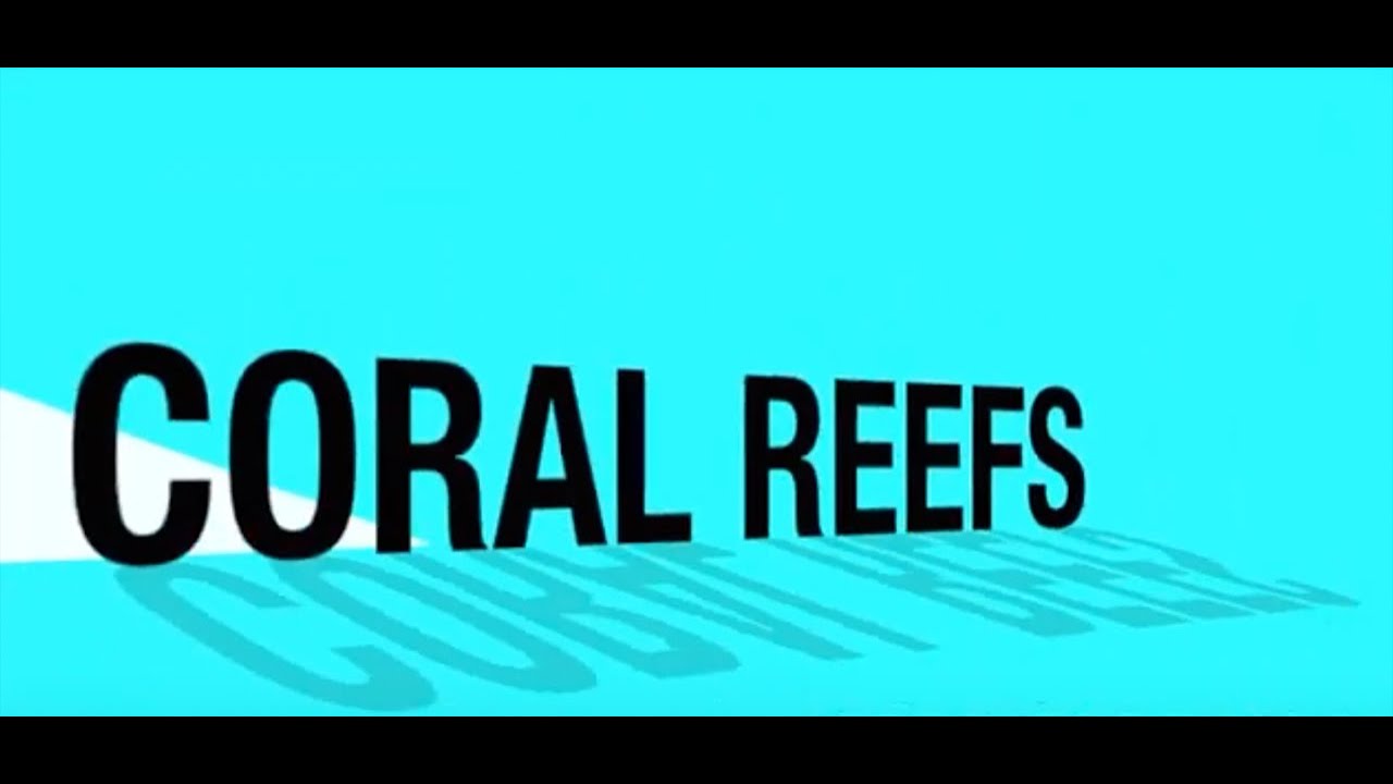 Upward Bound Science Stories: Coral Reefs
