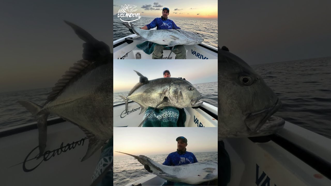 Monster 63kg GT 156cm landed on our Diablo Beast 74 popping rod and Silk Ocean CAST PE 10 Braid