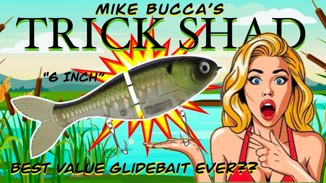 BUCCA BRAND 6 Inch Trick Shad (Best value glidebait ever??)