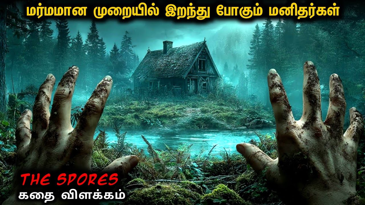 பரபரப்பு அல்லும் விறுவிறுப்பு துள்ளும் | Star Movies Tamil | Mr Voice Over | Mr Tamilan | Movie