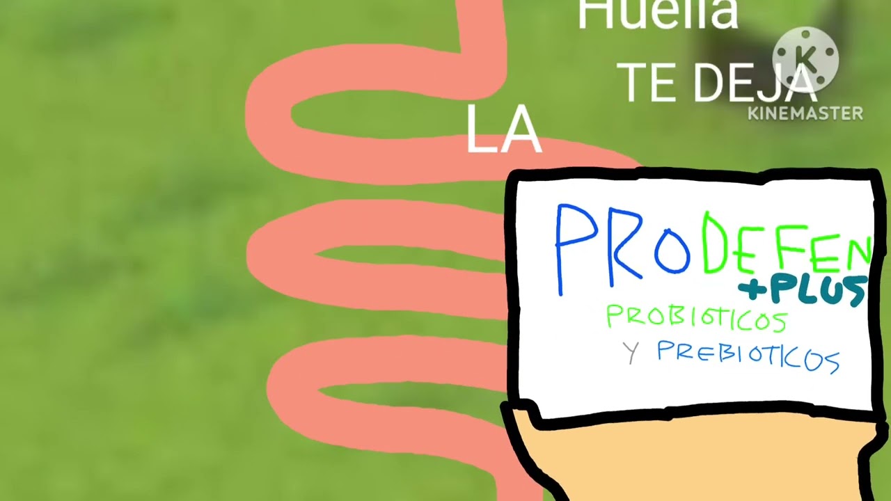 (REPARADO) Prodefen Plus Anuncio