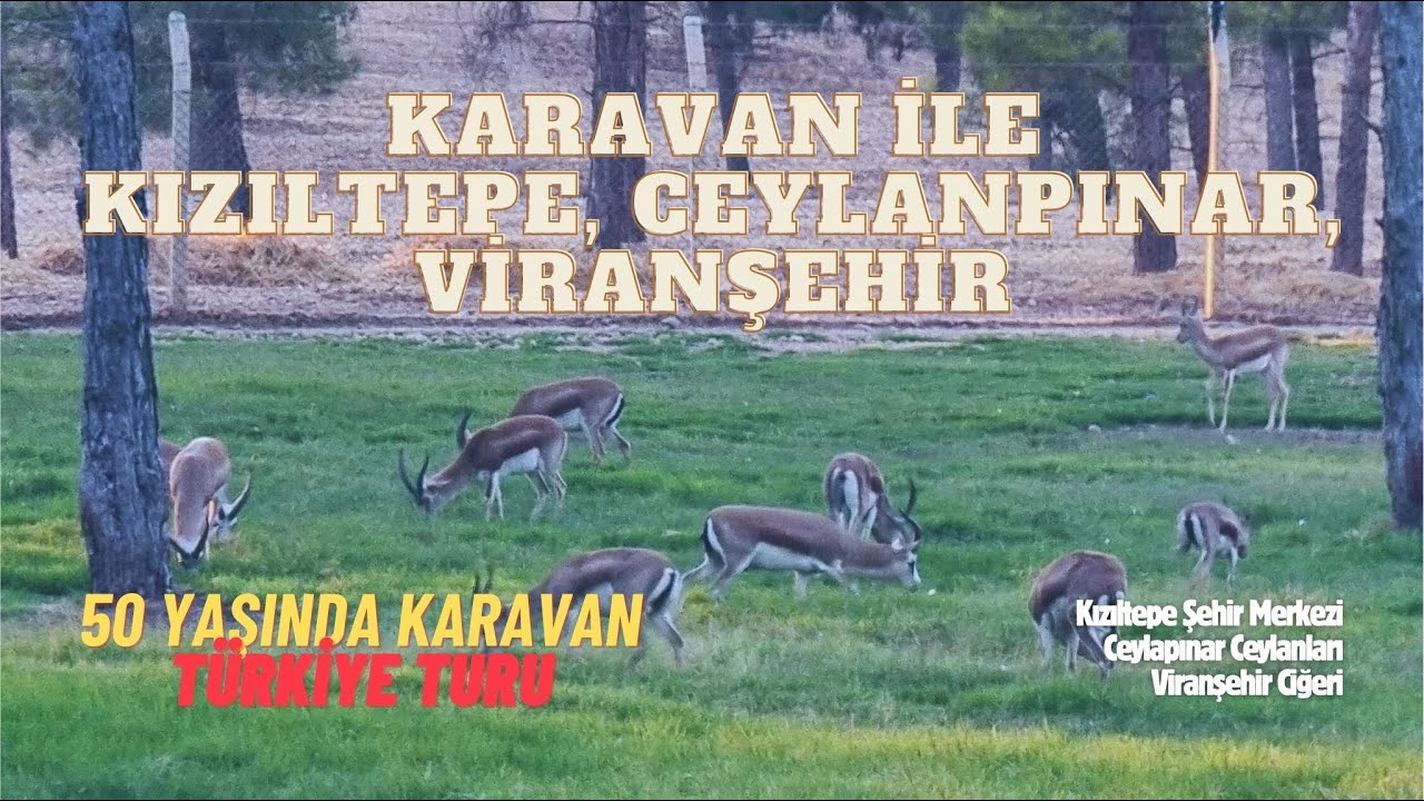 Karavan ile Kızıltepe & Ceylanpınar & Viranşehir / Türkiye Turu /  50 Yaşında Karavan