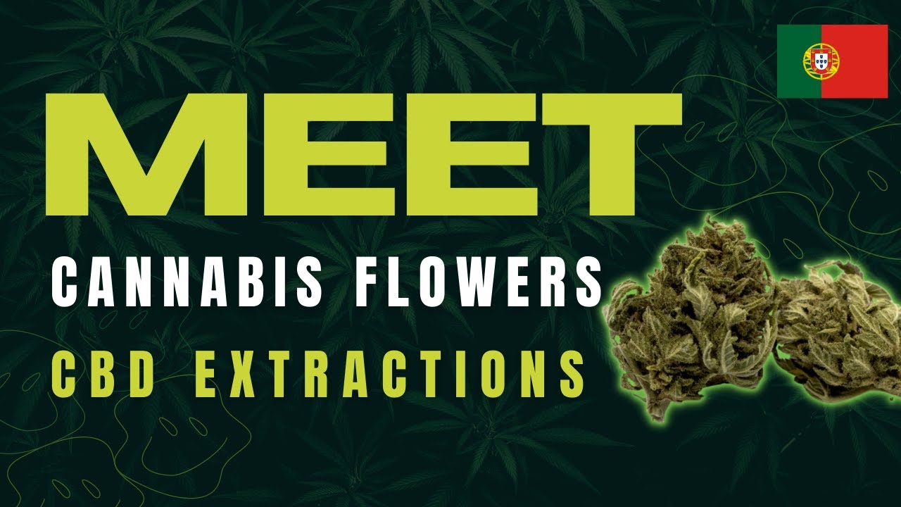 FLORES CBD 🌱 - PLANT OF LIFE