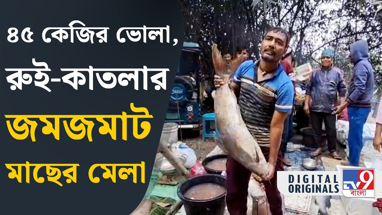 Bandel Fish Mela: ব্যান্ডেলের জমজমাট মাছের মেলা | #TV9D