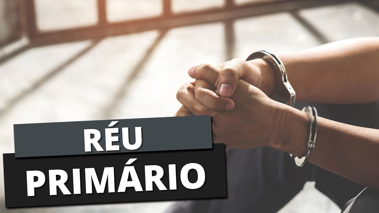 R&Eacute;U PRIM&Aacute;RIO: O que significa?