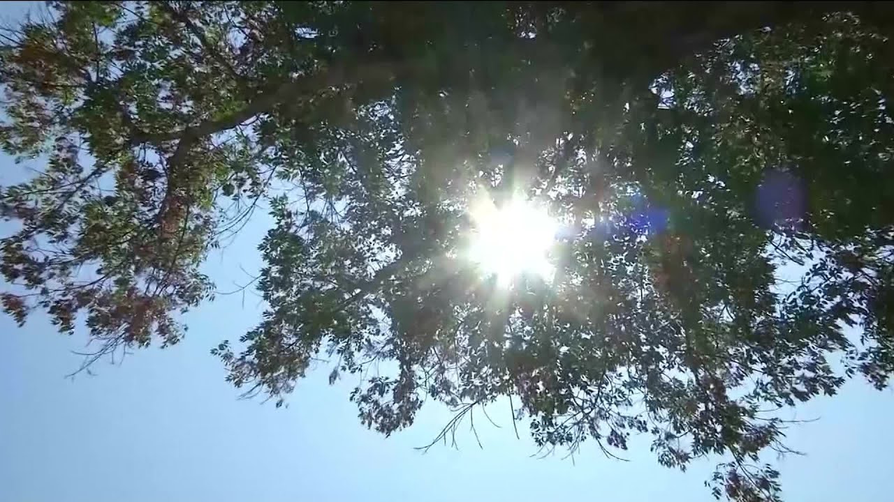 Southwest US bakes in first heat wave of season earlier than usual