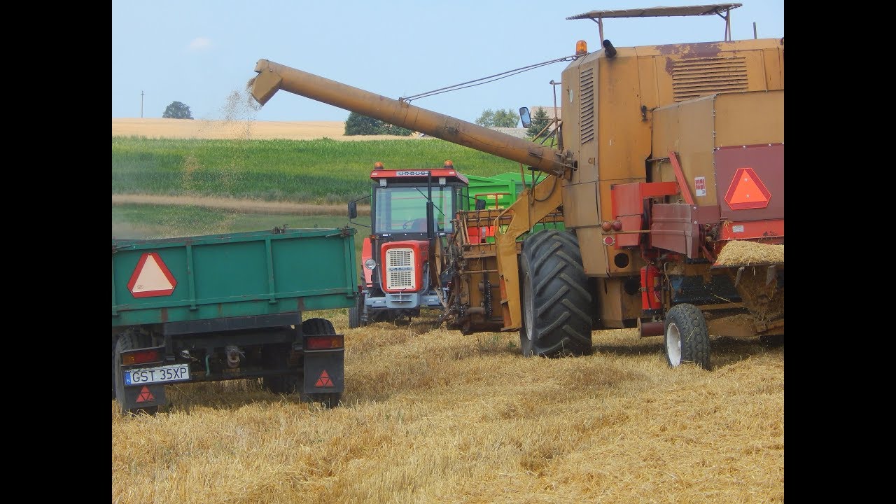 Żniwa 2019!!! BIZON Z056 w Jęczmieniu Ursus c 330 i 360 3p w transporcie!