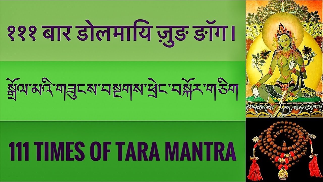 སྒྲོལ་མའི་གཟུངས་བསྔགས་ཕྲེང་བསྐོར་གཅིག 
111 times of Tara Mantra
१११ बार डोलमायि ज़ुङ ङॉग।