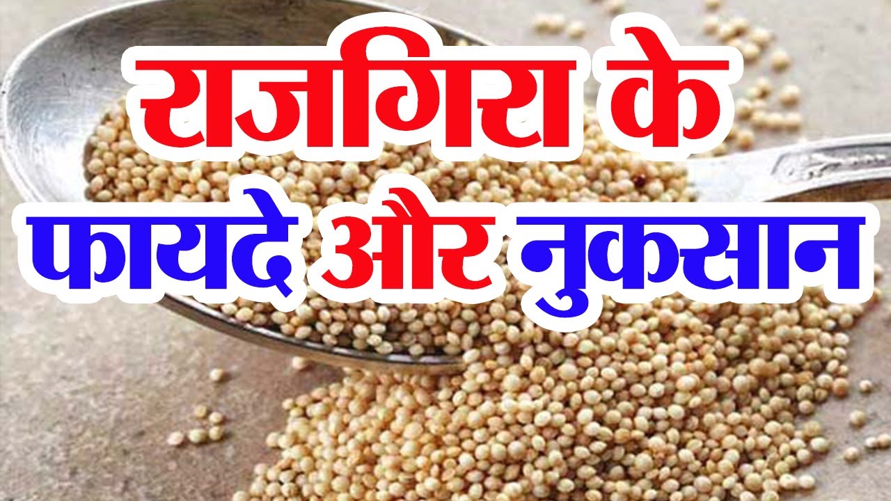 राजगिरा के फायदे और नुकसान/ rajgira ke fayde / rajgira benefits in hindi