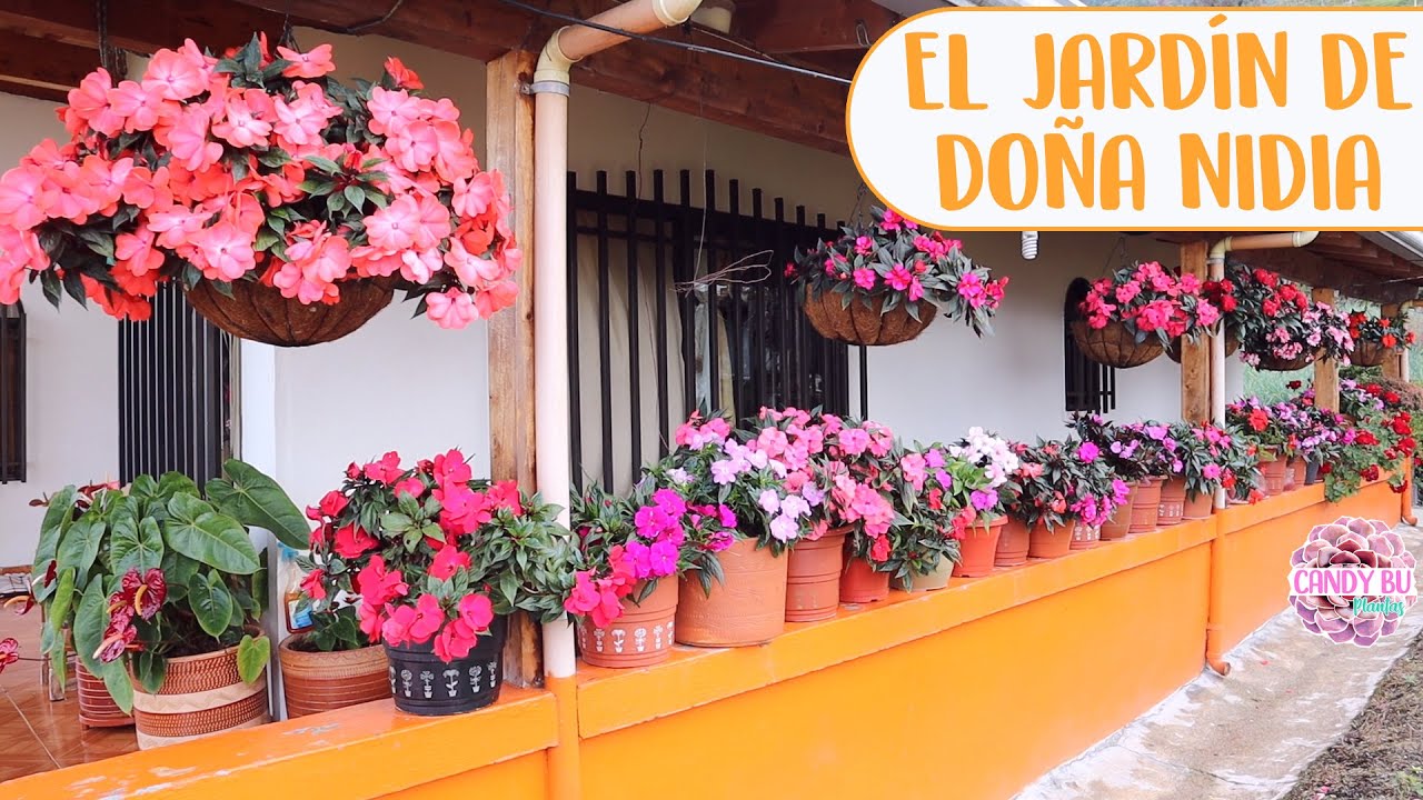 Tour por el jardín de mi vecina Nidia│Candy Bu