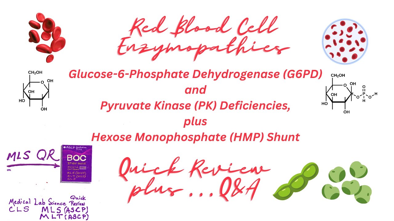 G6PD & Pyruvate Kinase Deficiency Anemias