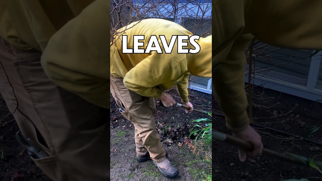 How Much Should This Property Cleanup Cost?