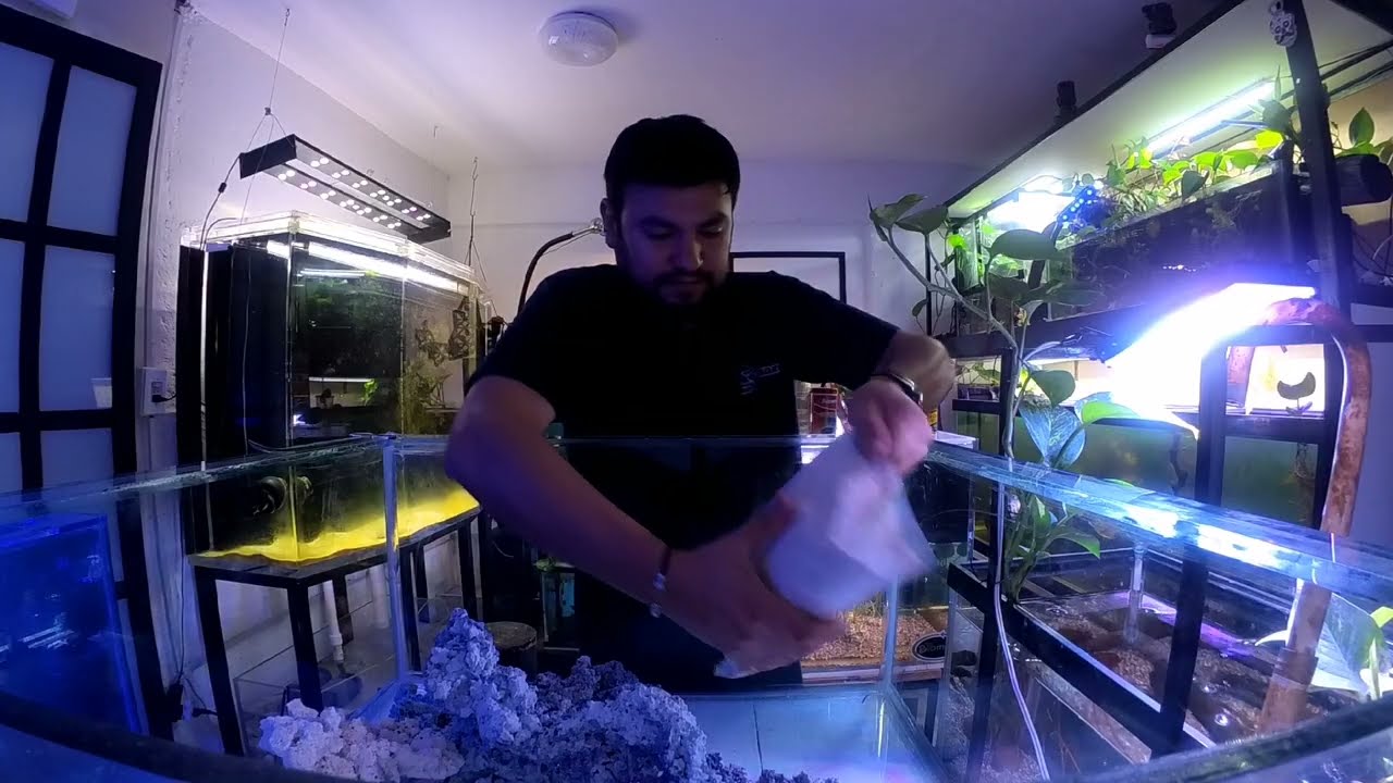Acuario Marino para macro algas marinas. Parte 1