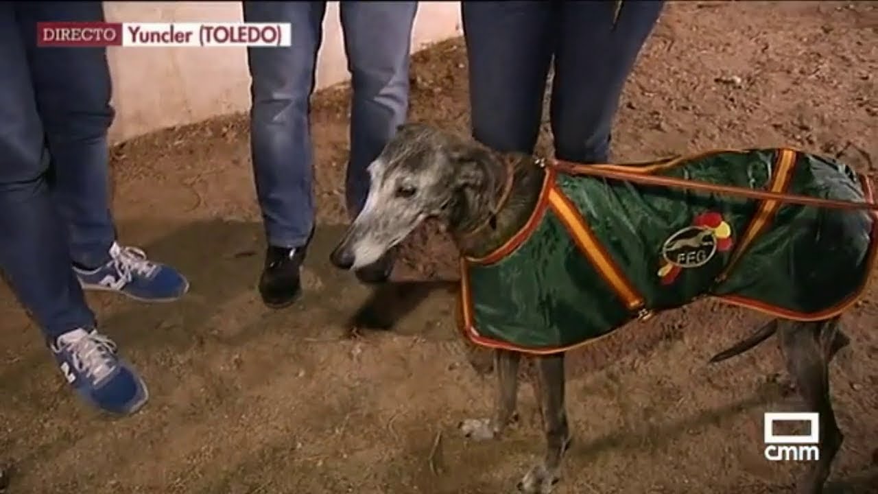 Comienza la temporada de 