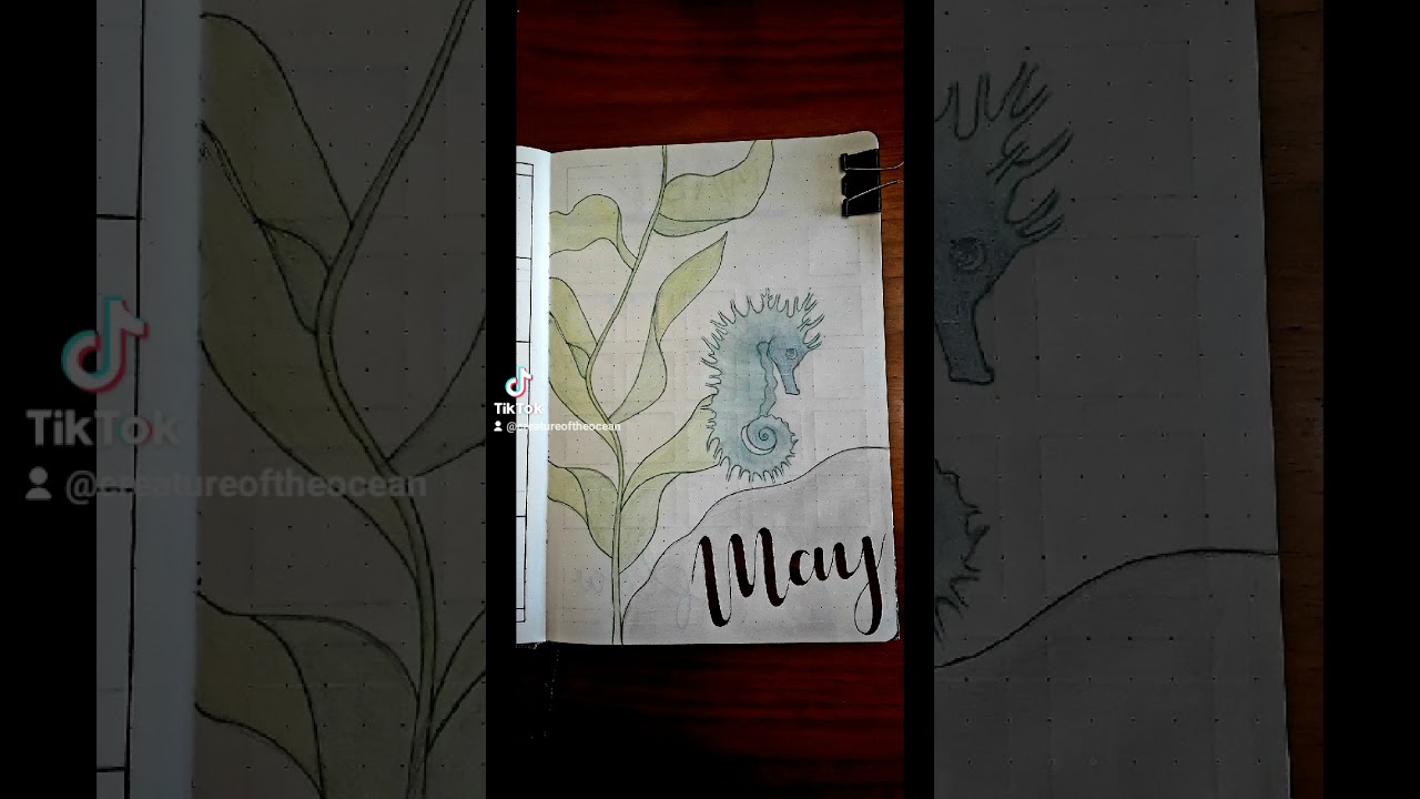 Ocean Bujo - May