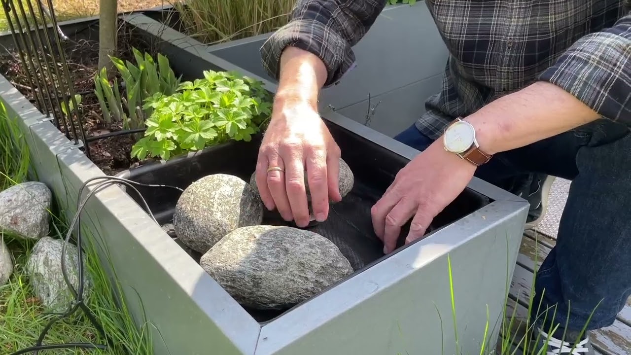 Tips til fontene i plantekassen