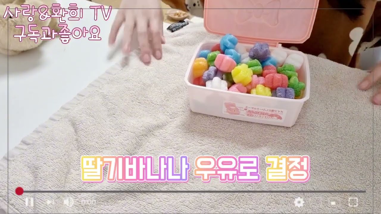 (인형계)배고픈 멍뭉이를 위한 딸기바나나 우유 만들기!!🍓🍌🍓🍌#roblox #사랑환희 TV #포카포장 #ive #관리자님추천뜨게해주세요 #추천#인형계