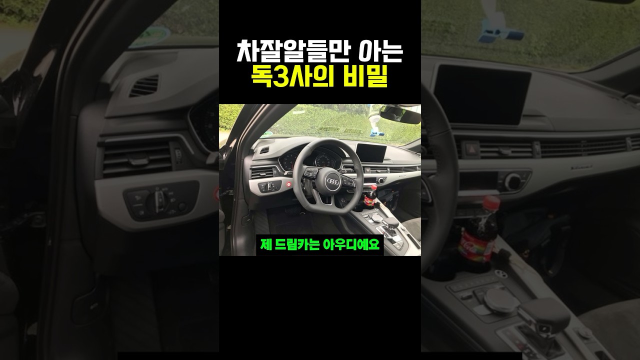 차잘알들만 아는 독3사의 비밀