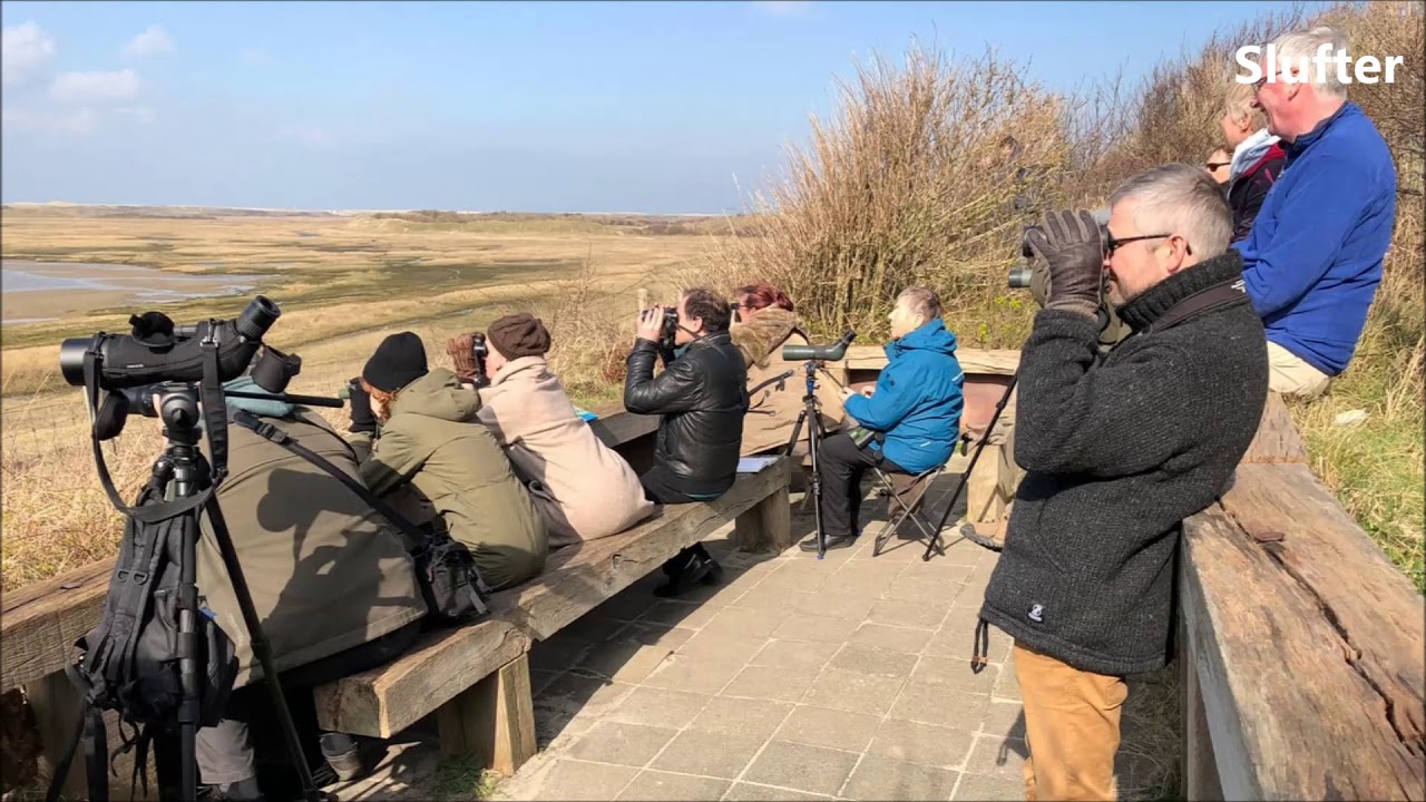 Vogelwacht Delft excursie Texel 2020-3-14