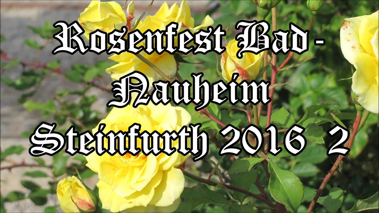 Bad Nauheim- Steinfurth Rosenfest 2