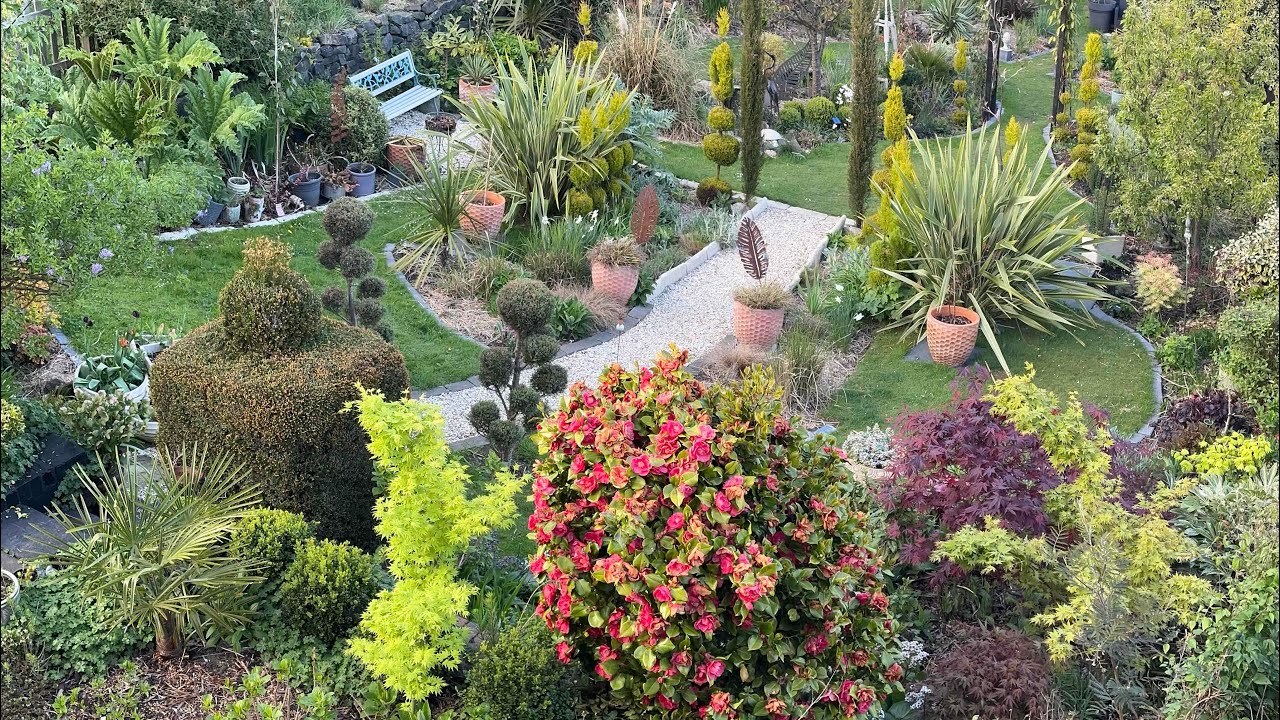 Edit’s Garden garden tour 2025-04-25  (South Yorkshire, Anglia)