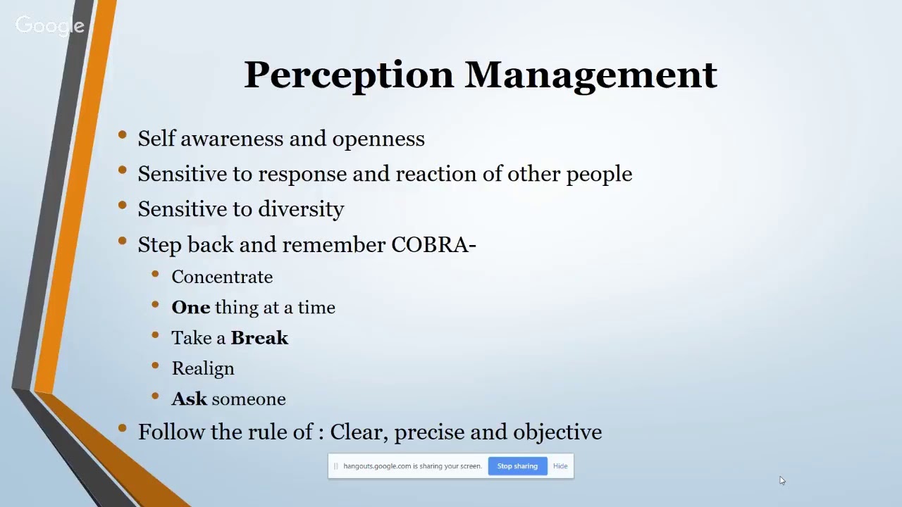 Perception Management: A guide for a leader with Freeha