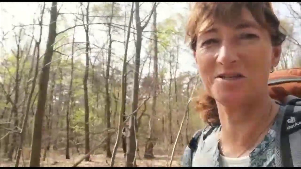 De eerste kilometers van mijn pelgrimswandeling naar Rome