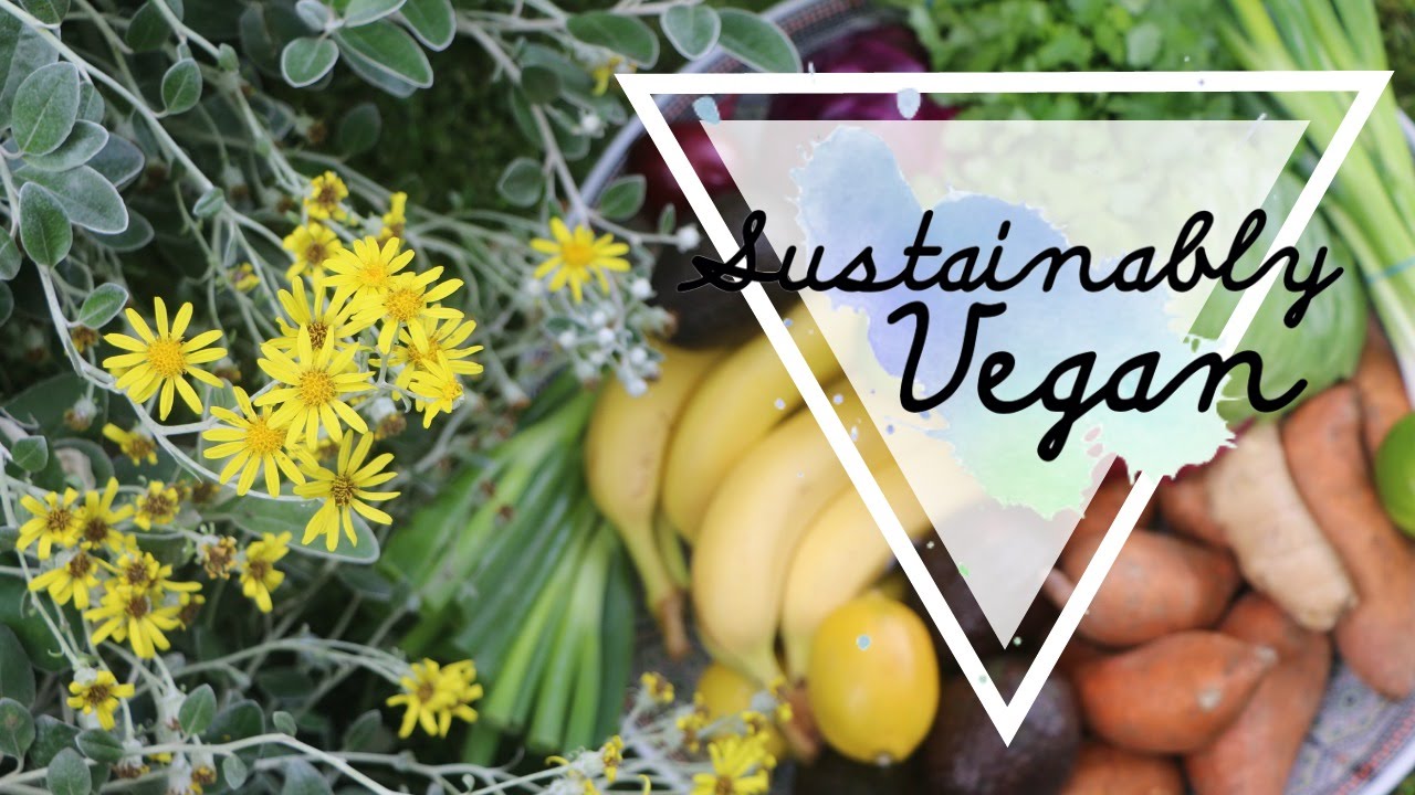 Zero Waste Beginner's Tips ♡ How to Get Started