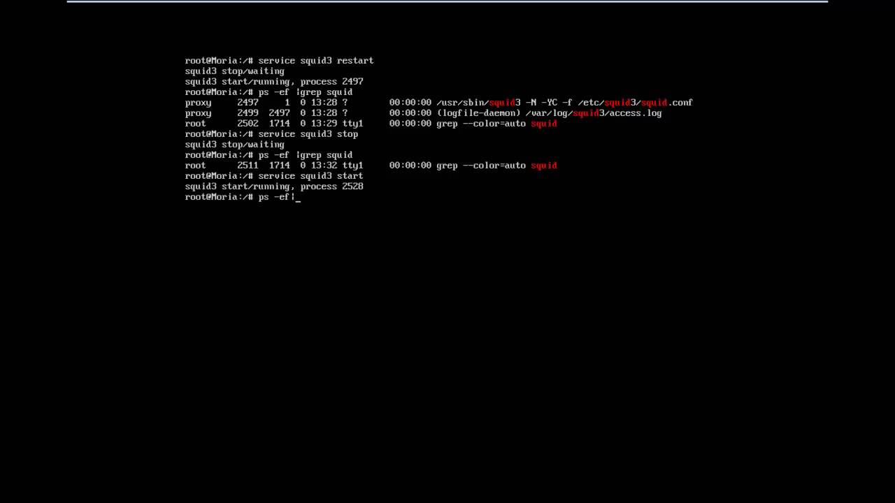 Instalacion proxy con squid3 y dansguardian