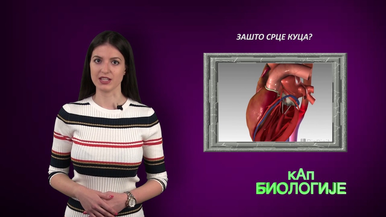 Kap Biologije - Cirkulatorni sistem