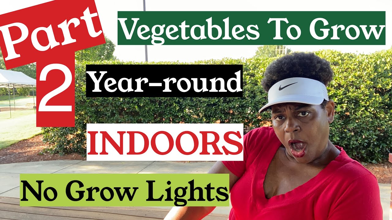 Part 2 | Vegetables to GROW INDOORS YEAR ROUND with NO Grow Lights | Container Gardening