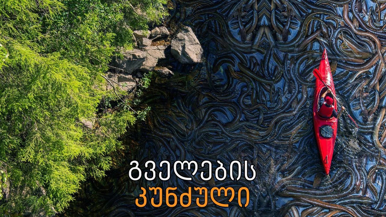 ყველაზე საშიში კუნძულები  მსოფლიოში!