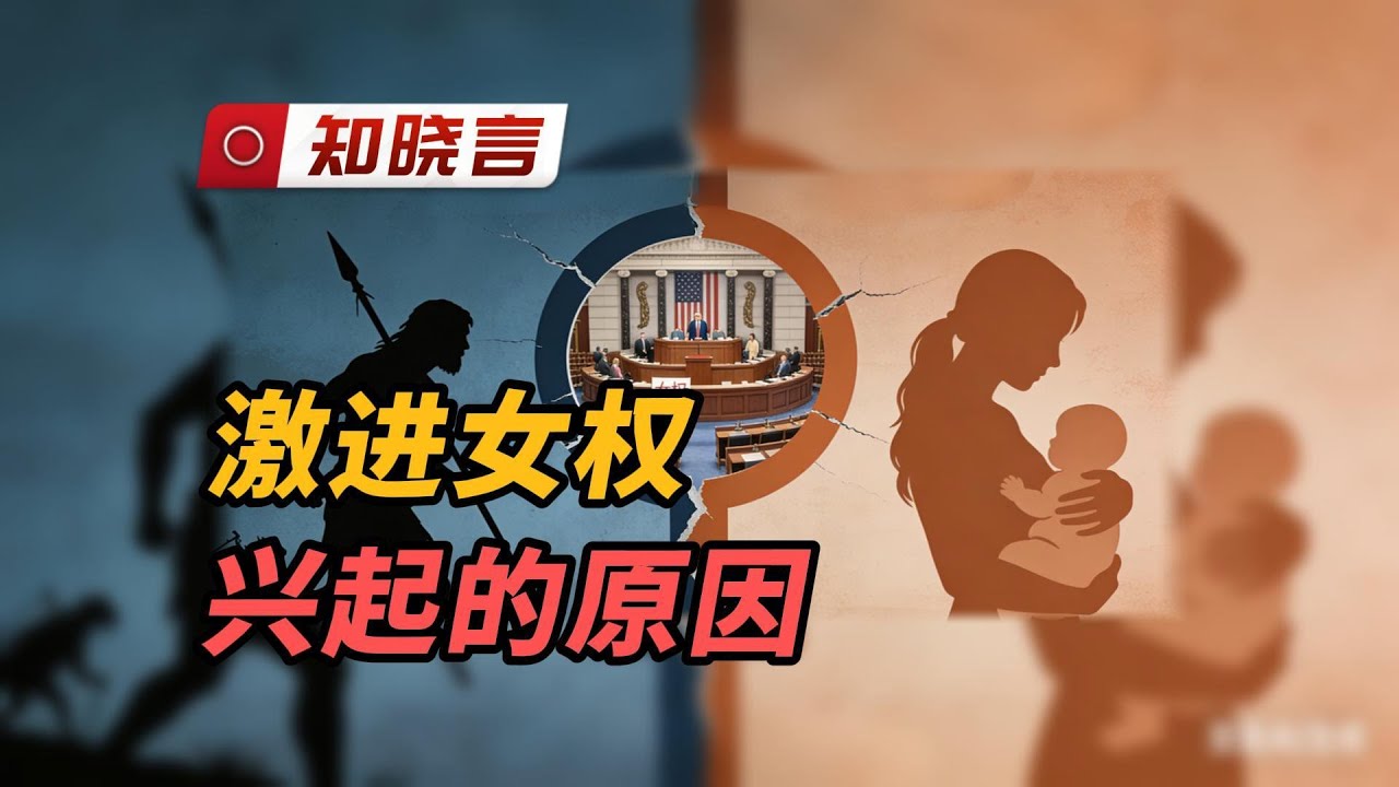 激进女权兴起的原因｜女权｜白左｜政治｜民主｜选票｜