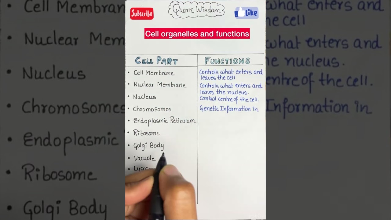 Cell Organelles and functions #shorts