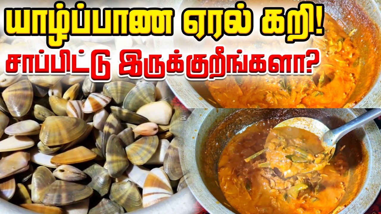 ஏரல் கறி சாப்பிட்டிருக்கிறீங்களா? @MathysDiary  #jaffnacooking #valvettithurai #fishing 