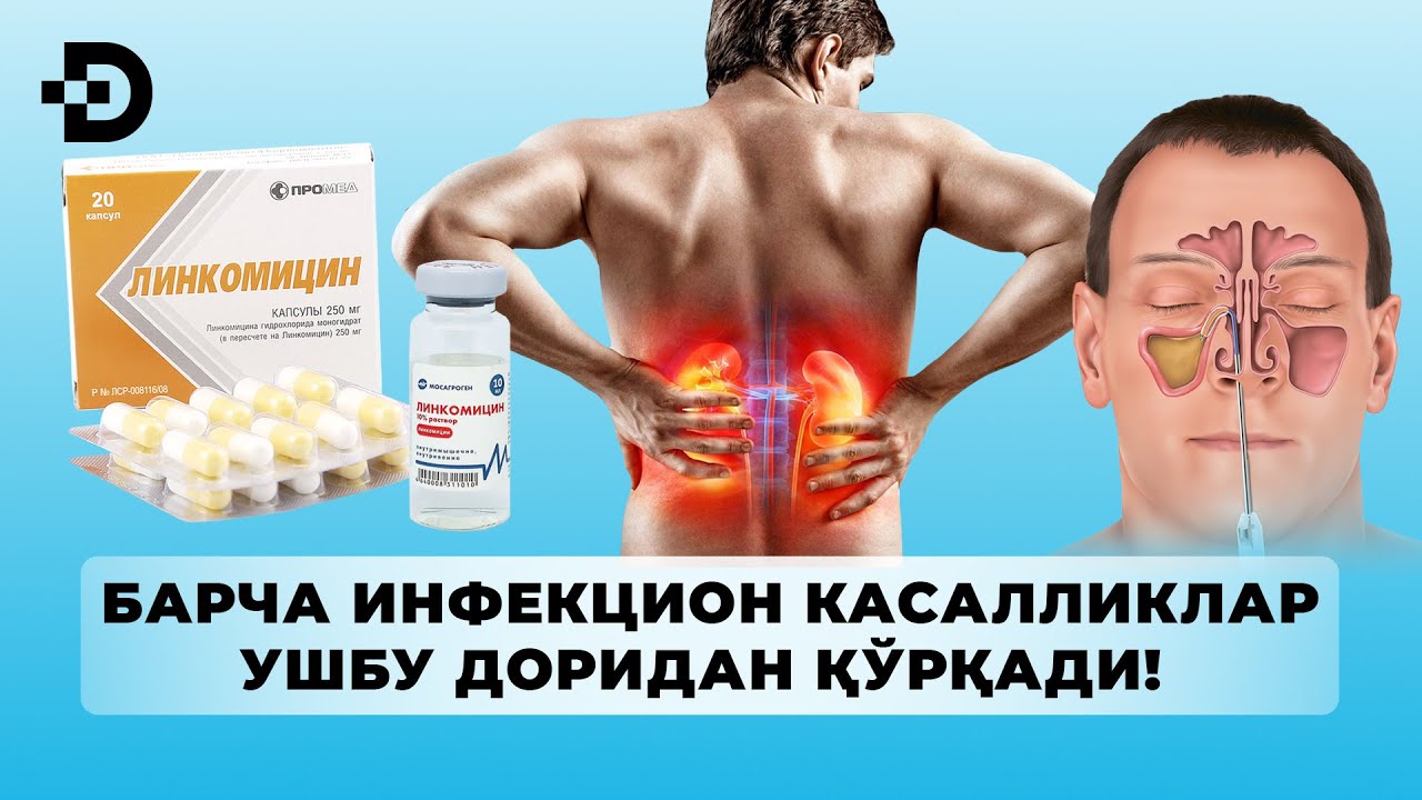 ГАЙМОРИТ, АНГИНА ВА ЎПКА КАСАЛЛИГИГА ҚАРШИ ЭНГ КУЧЛИ ВОСИТА