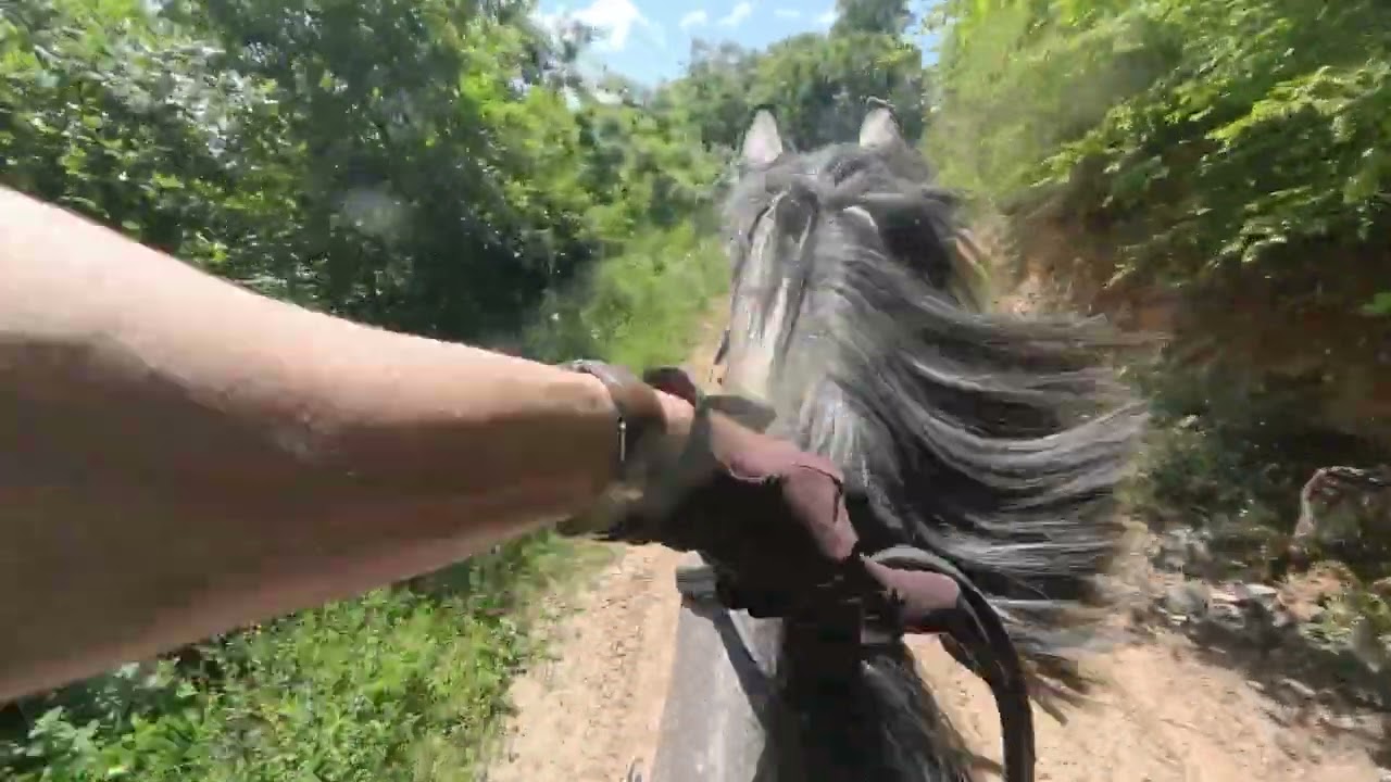 Galloping through muddy trails...
