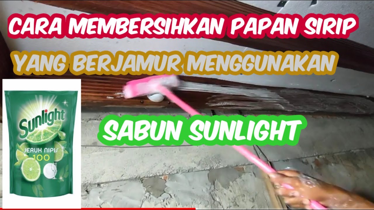 CARA PEMBERSIHAN PAPAN SIRIP YANG BERJAMUR MENGGUNAKAN SABUN SUNLIGHT