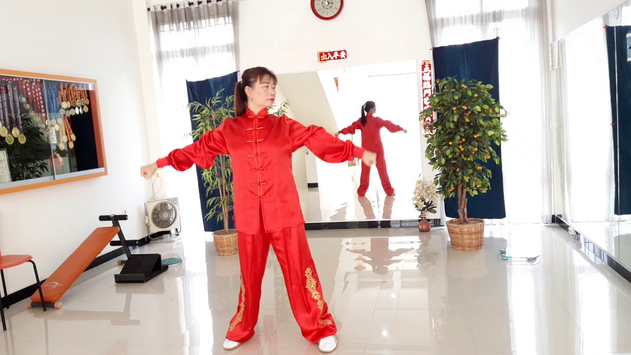 LIAN GONG SHI BA FA 2