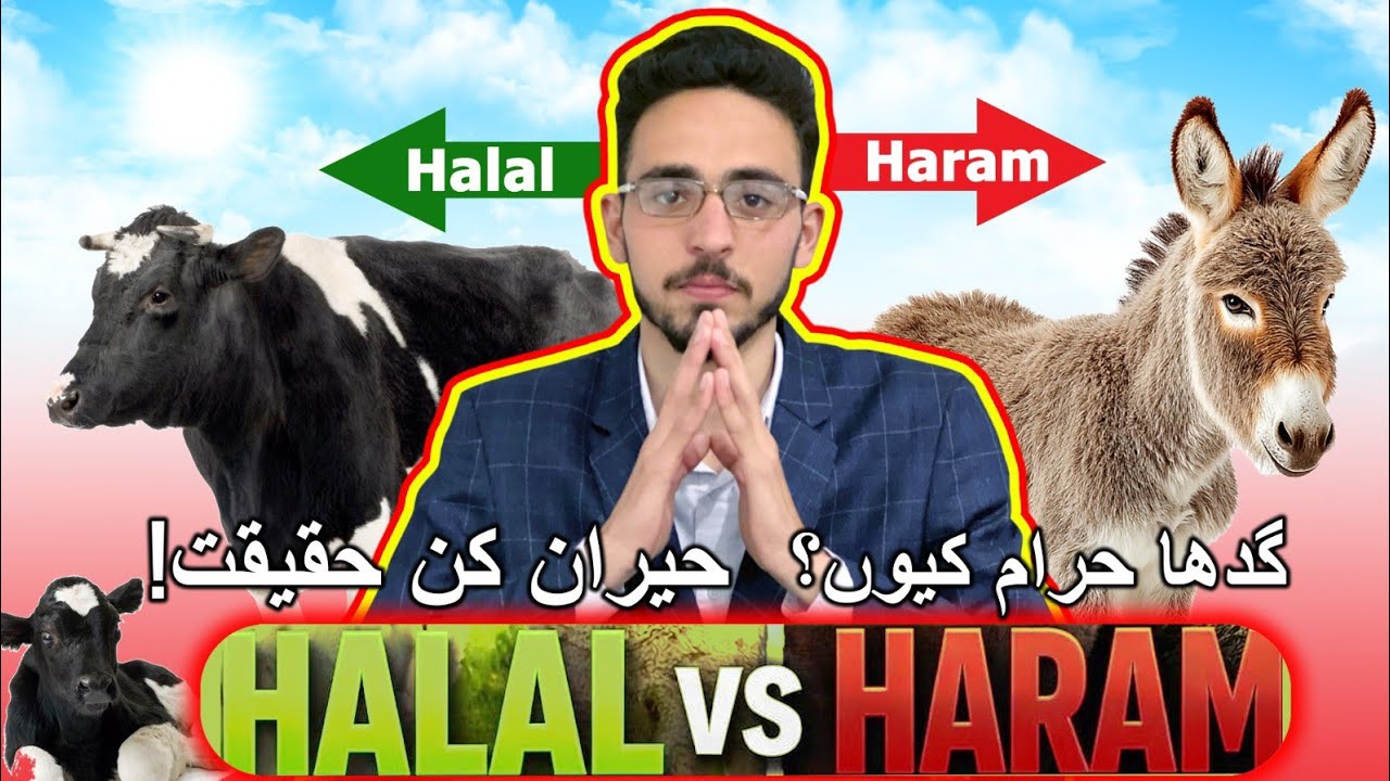 Why Is Donkey Haram but Wild Donkey Halal? | Islam & Science Explained