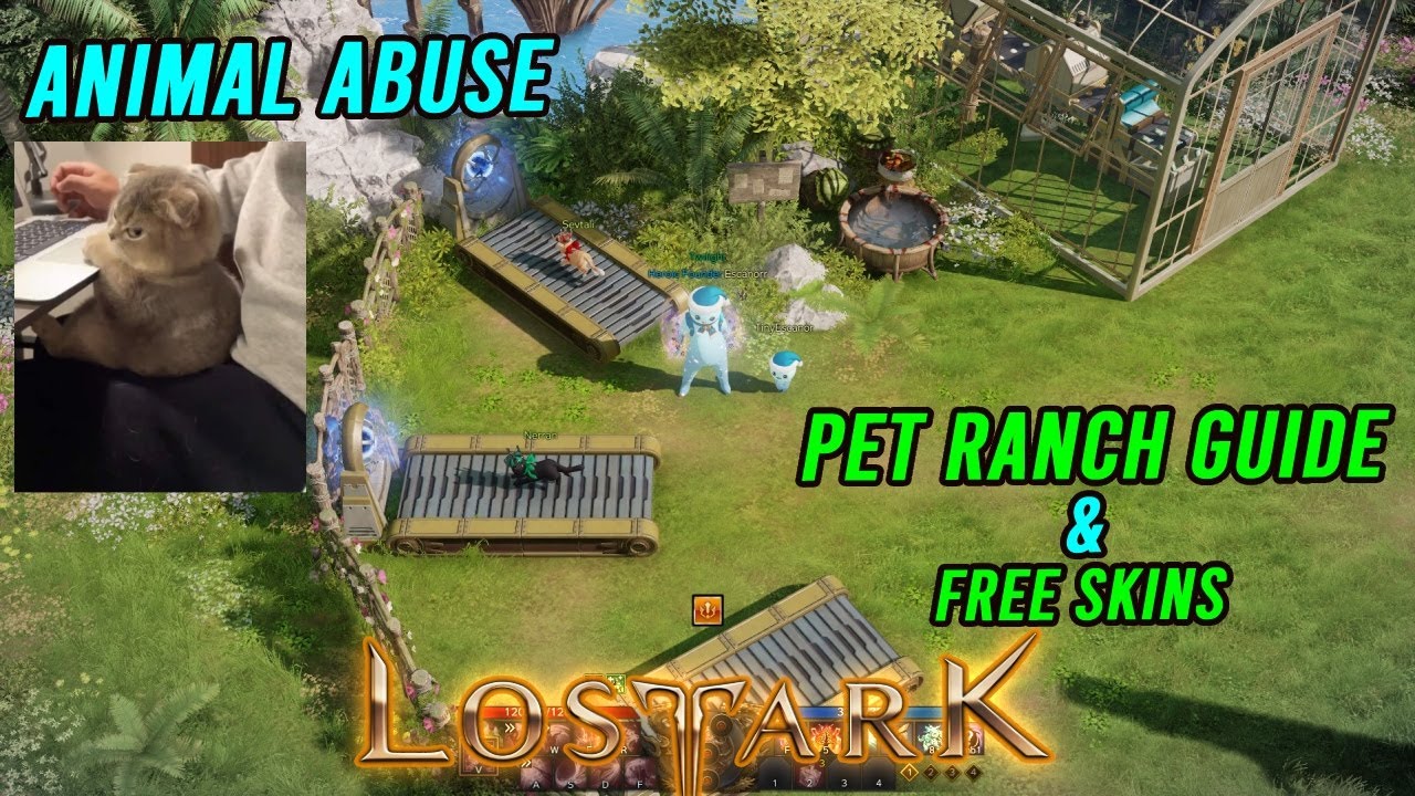 Lost Ark Pet Ranch Guide